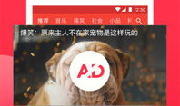 西瓜视频网站,短视频时代的潮流引领者