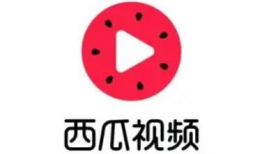 西瓜视频网站,短视频时代的潮流引领者