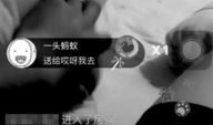 黄色直播视频,一场网络直播的道德与法律探讨